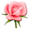 Rose emoji on Samsung